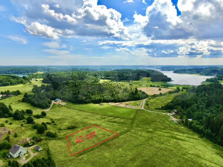 Участок 42 сот. (СНТ, ДНП)