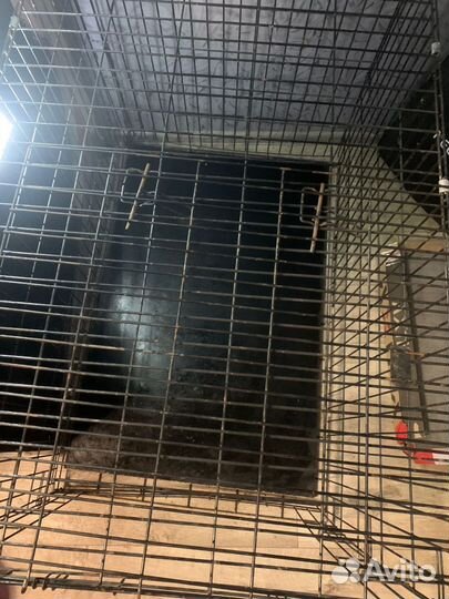 Клетка для собаки бу