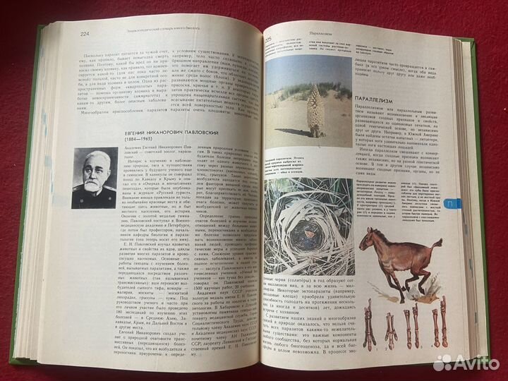 Энциклопедия юного биолога