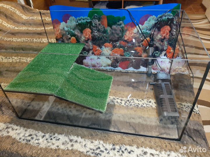 Террариум для красноухой черепахи