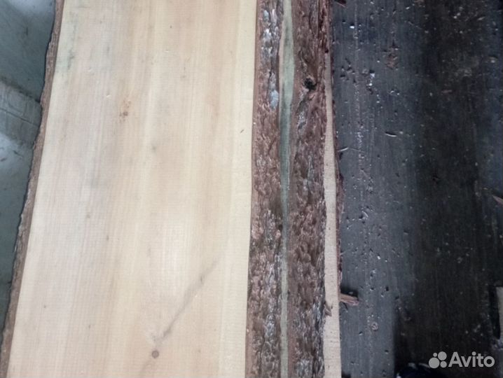 Доска необрезная кедр Леший оптом