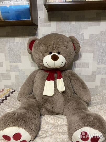 Большие плюшевые медведи