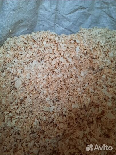 Щепа, опилки, стружка древесины хвойных пород