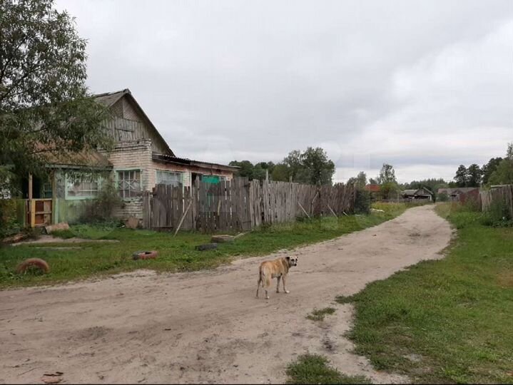 Участок 25 сот. (ИЖС)