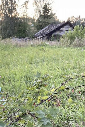 Участок 25 сот. (ИЖС)