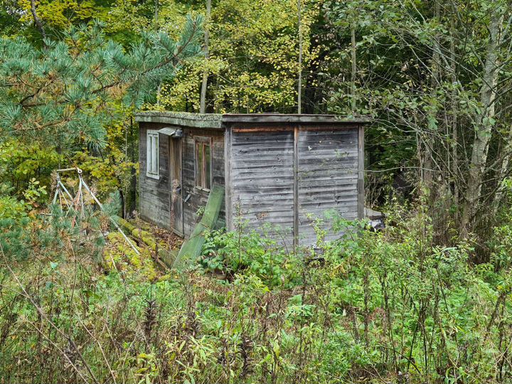 Участок 12,5 сот. (СНТ, ДНП)