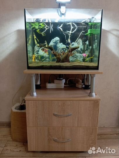Аквариум