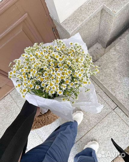 Цветы ромашки. Букеты ромашек. Цветы доставка