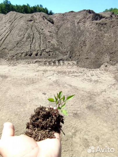 Навоз крс удобрение (прелый) 25 литров