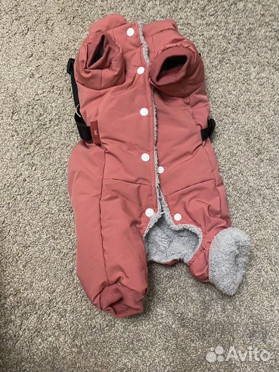 Костюм для собаки