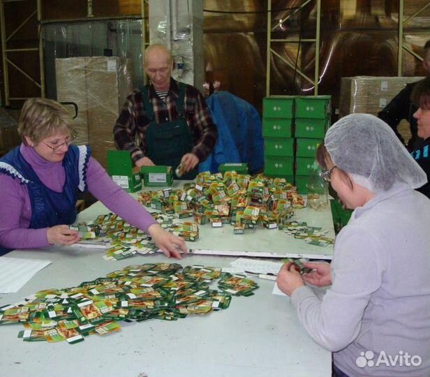 Фасовщик чая. Вахта