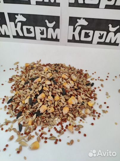 Зерносмесь цельная для с/х птиц