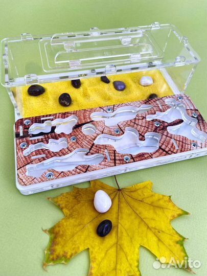 Муравьиная ферма