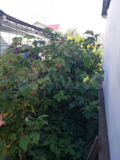 Дача 30 м² на участке 6 сот.