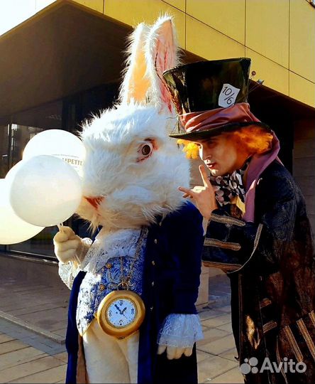 Заяц Кролик белый аренда костюма Красноярск