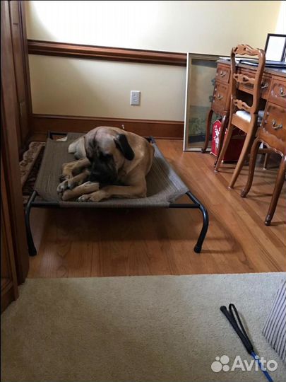 Лежанка для собаки