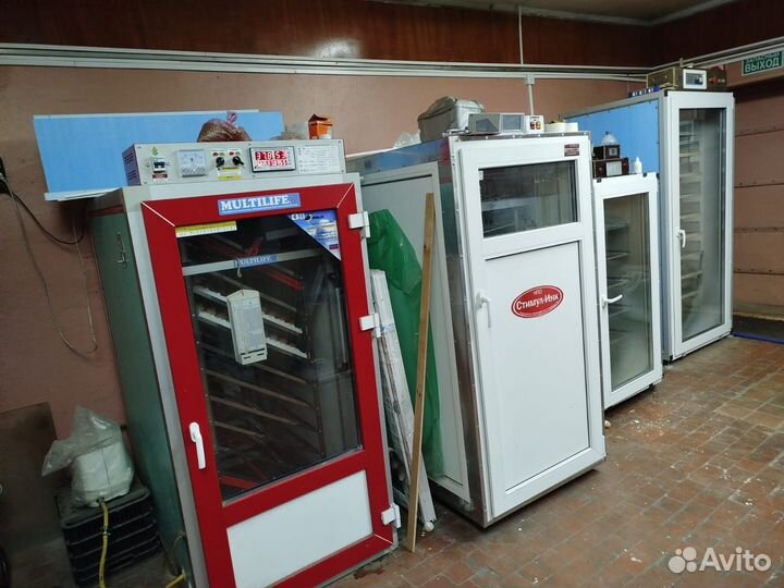 Цыплята бройлеры, индюшата и другая птица