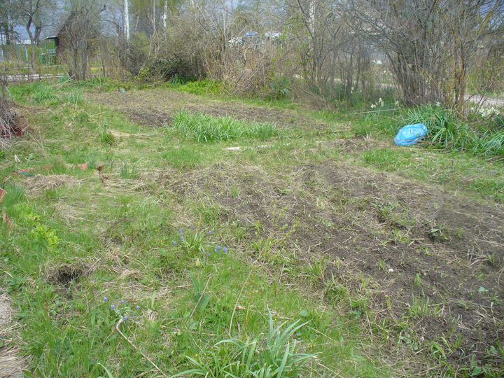 Участок 4,3 сот. (СНТ, ДНП)