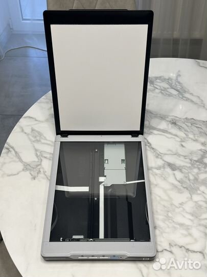 Epson Perfection V19