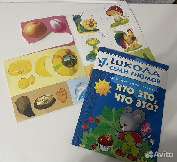 Школа семи гномов