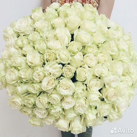 Роза 51 31 11 Цветы, доставка букетов