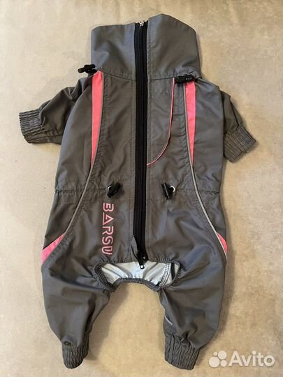 Комбинезон Barsu для шпица (девочка)