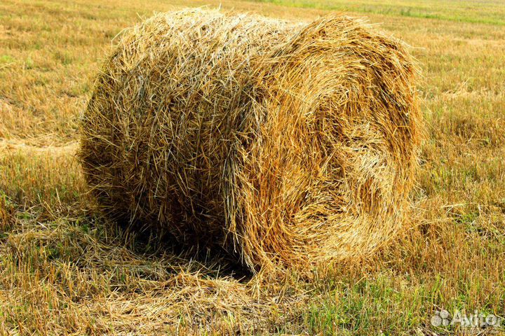 Сено, солома