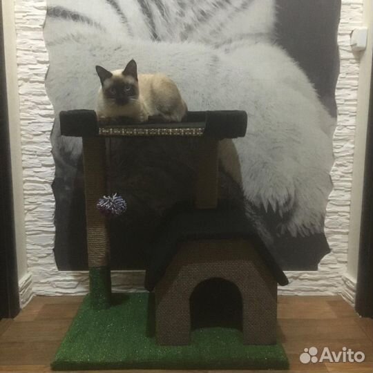 Домик когтеточка