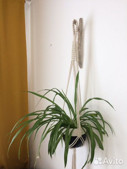 Подвес для цветов макраме