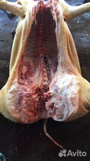 Мясо свинины домашнее