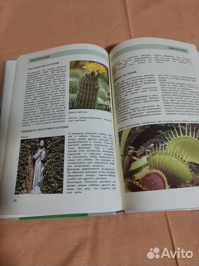 Энциклопедия