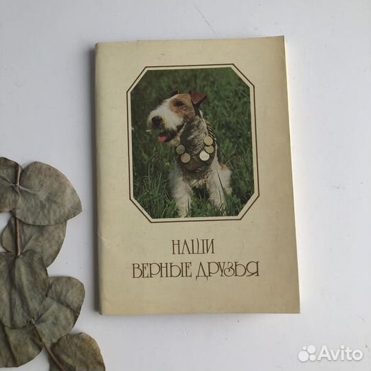 Набор 20 Открыток Наши Верные Друзья Собаки СССР