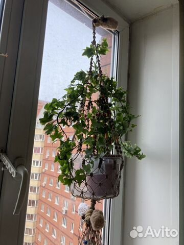 Кашпо макраме