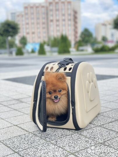 Продам переноски для животных новые