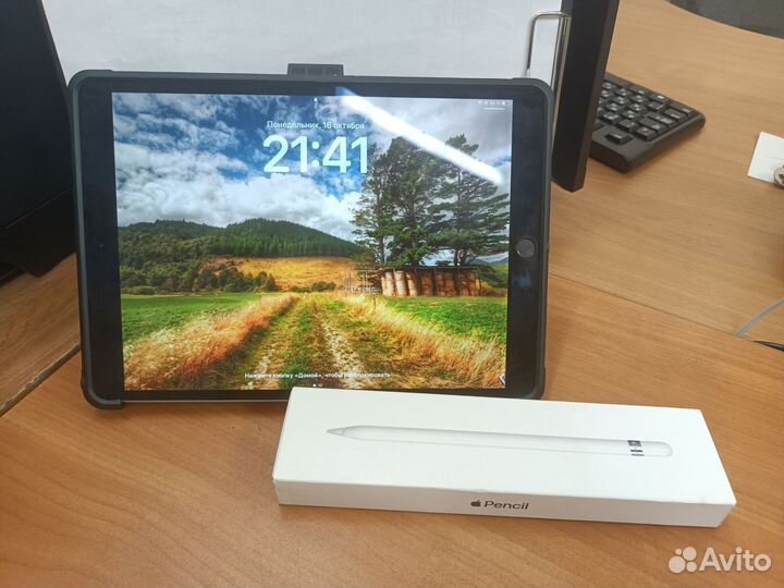 iPad Pro 10.5 +pencil+procreate