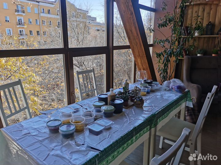 Мастер -класс по созданию флорариумов