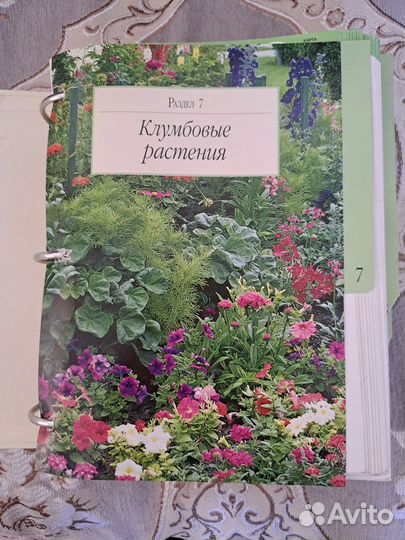 Энциклопедия Сад моей мечты