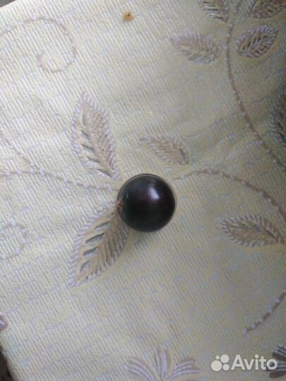 Черная смородина,кустики