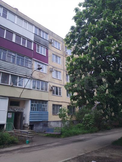 2-к. квартира, 52,6 м², 5/5 эт.