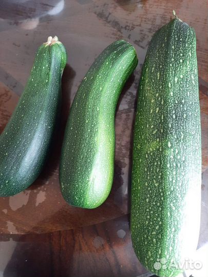 Домашние куриные яйца