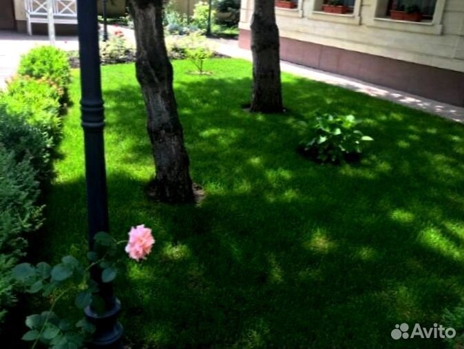 Рулонный газон