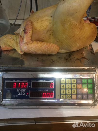 Птица на стол и племя