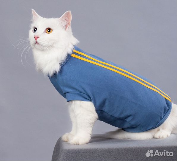 Одежда для собак и кошек