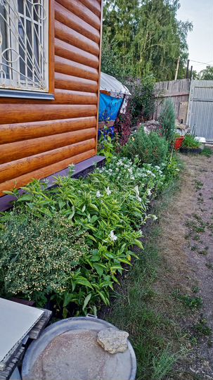 Дача 28 м² на участке 11 сот.