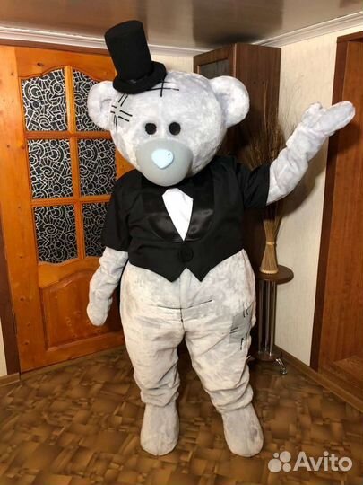 Поздравление мишки Тедди и белого кота