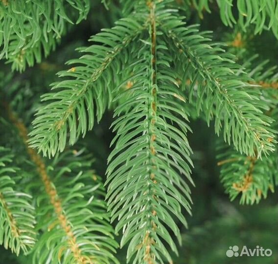 Ёлка искусственная новогодняя литая