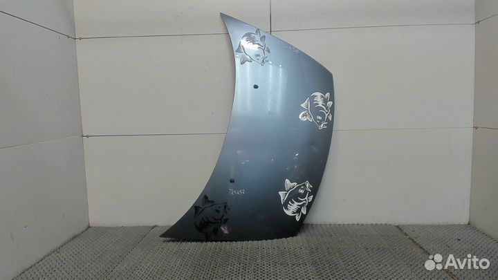 Капот Citroen C3, 2006