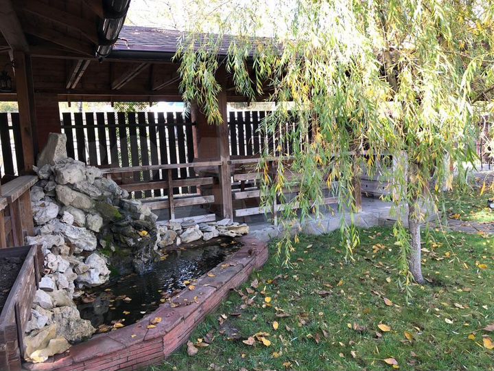 Общепит, 175 м²