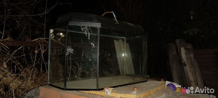 Террариум для рептилий