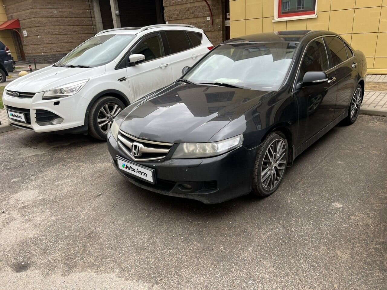 Honda Accord: фото владельца